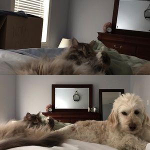 Meet your Posher, Christine